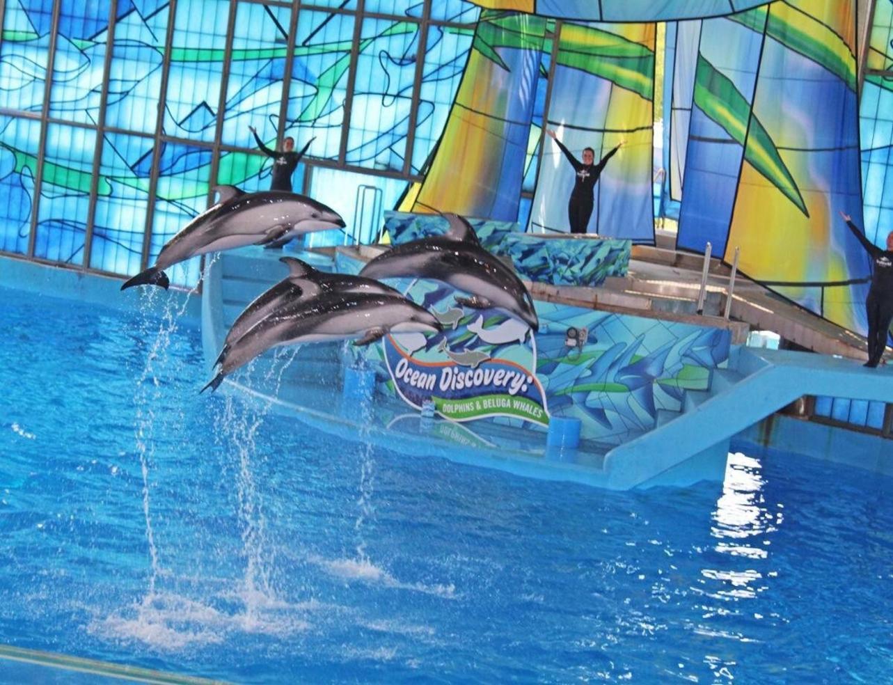 Gameroom, Bbq & Hot-Tub By Lackland & Seaworld San Antonio Exteriér fotografie